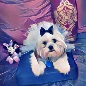 Meet your Posher, Blanca